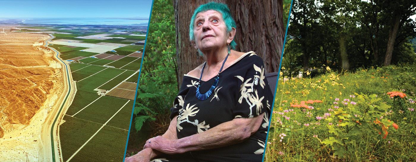 Images from the shows: Green Desert; ruth weiss: beat goddess; and Prairie Preacher: Preserving Appalachia's Grasslands